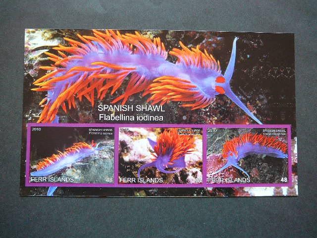 Juros fauna 2010 svarus be d. #334 Moliuskai