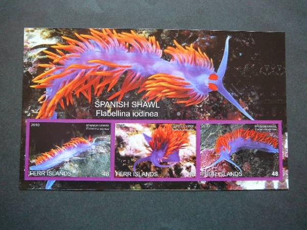 Juros fauna 2010 svarus be d. #334 Moliuskai