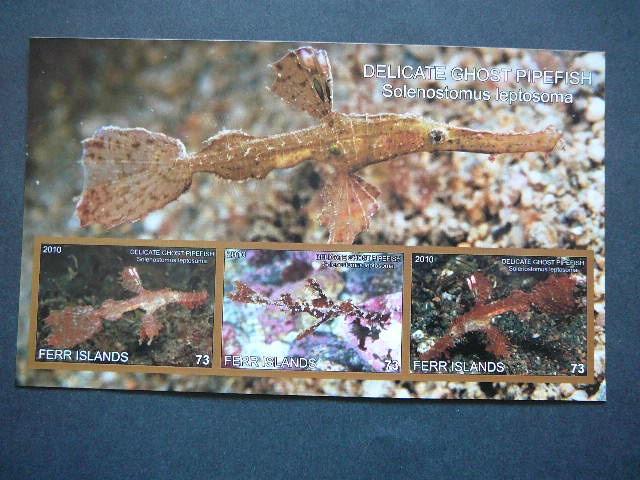 Juros fauna 2010 svarus be d. #335 Pipirines Zuvys