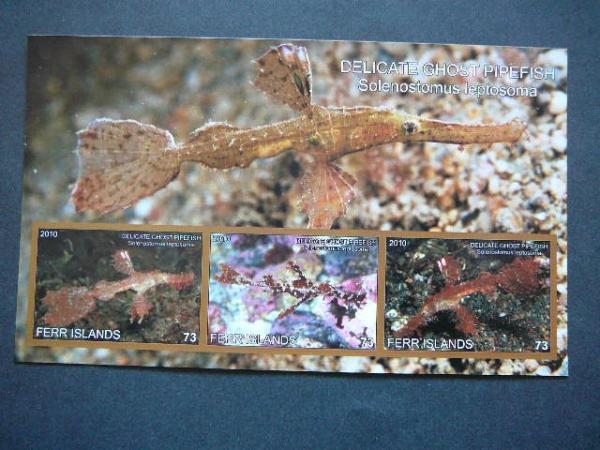 Juros fauna 2010 svarus be d. #335 Pipirines Zuvys