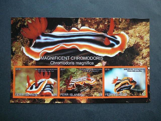 Juros fauna 2010 svarus be d. #338 Moliuskai