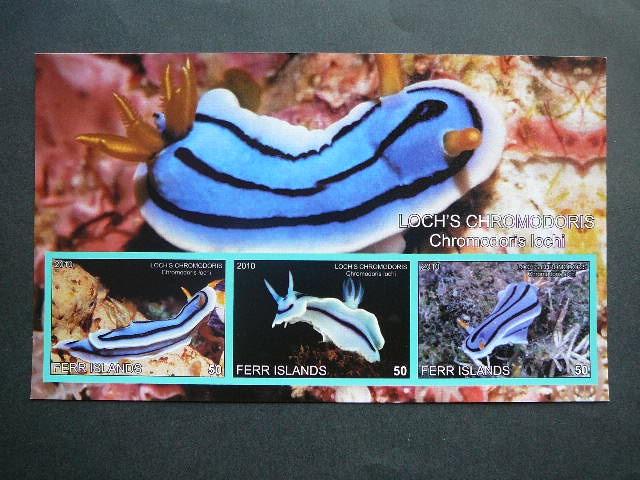 Juros fauna 2010 svarus be d. #339 Moliuskai