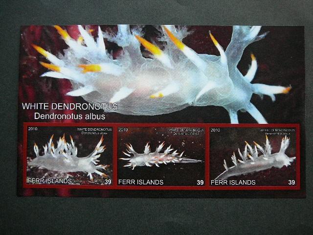 Juros fauna 2010 svarus be d. #341 Moliuskai