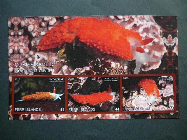 Juros fauna 2010 svarus be d. #342 Moliuskai