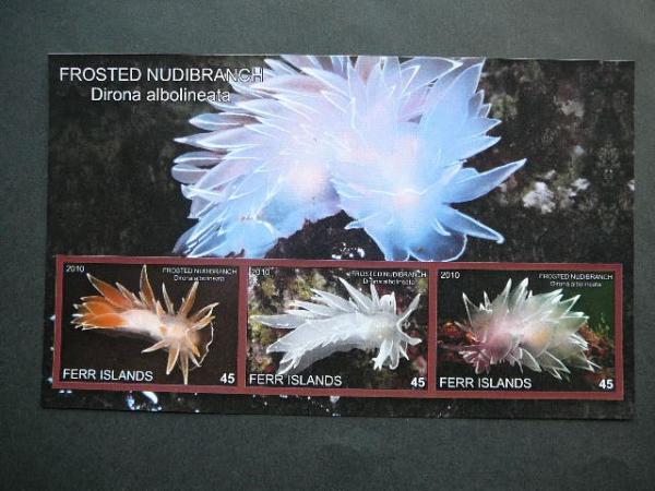 Juros fauna 2010 svarus be d. #343 Moliuskai