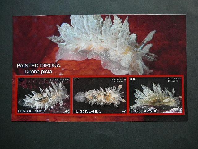 Juros fauna 2010 svarus be d. #344 Moliuskai