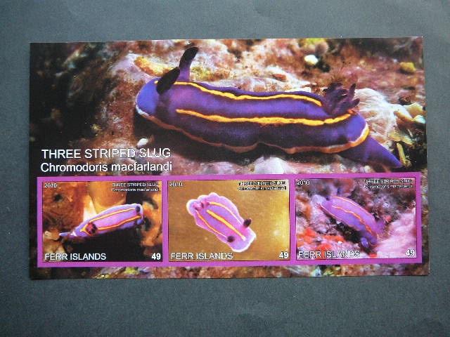 Juros fauna 2010 svarus be d. #345 Moliuskai