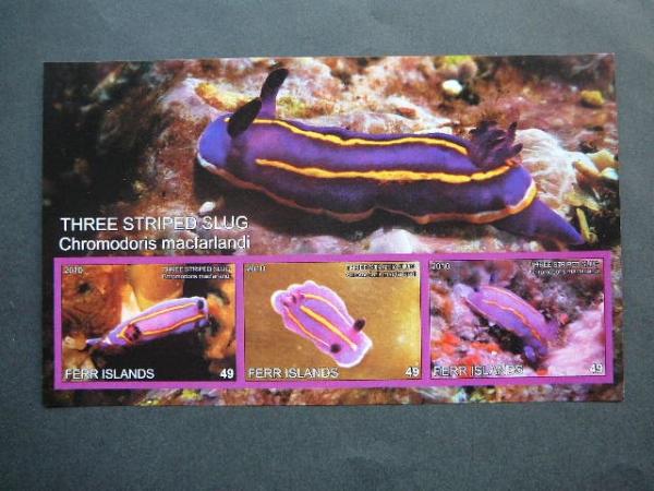 Juros fauna 2010 svarus be d. #345 Moliuskai