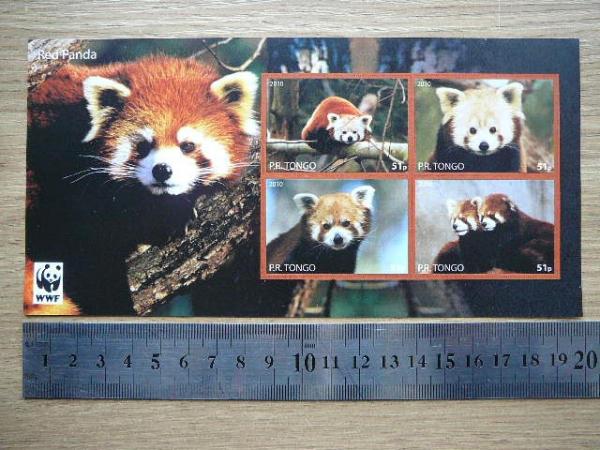 Meskos Tonga 2010 svarus be d. #277 Pandos