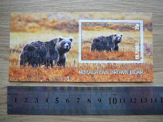 Meskos Tonga 2011 svarus be d. #280