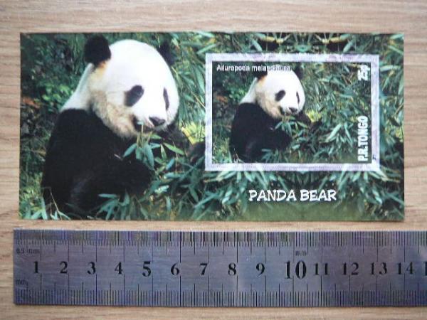 Meskos Tonga 2011 svarus be d. #282 Pandos