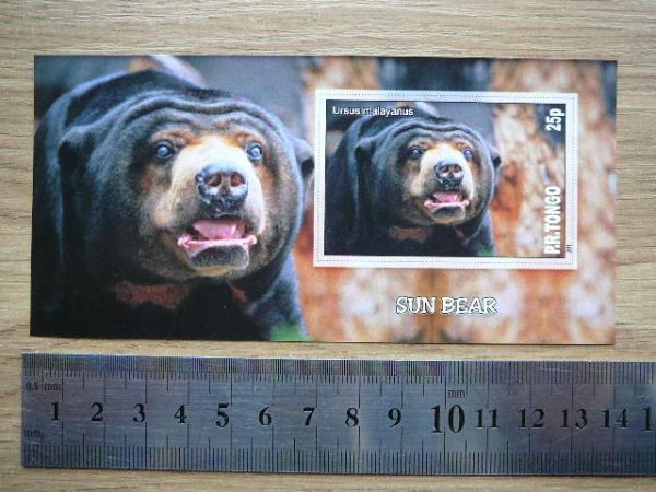 Meskos Tonga 2011 svarus be d. #284