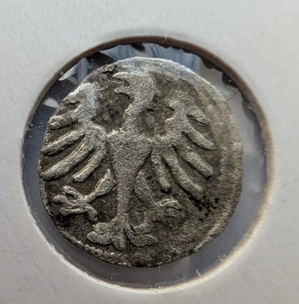 Aleksandro Jogailaičio 1495-1506 denaras 