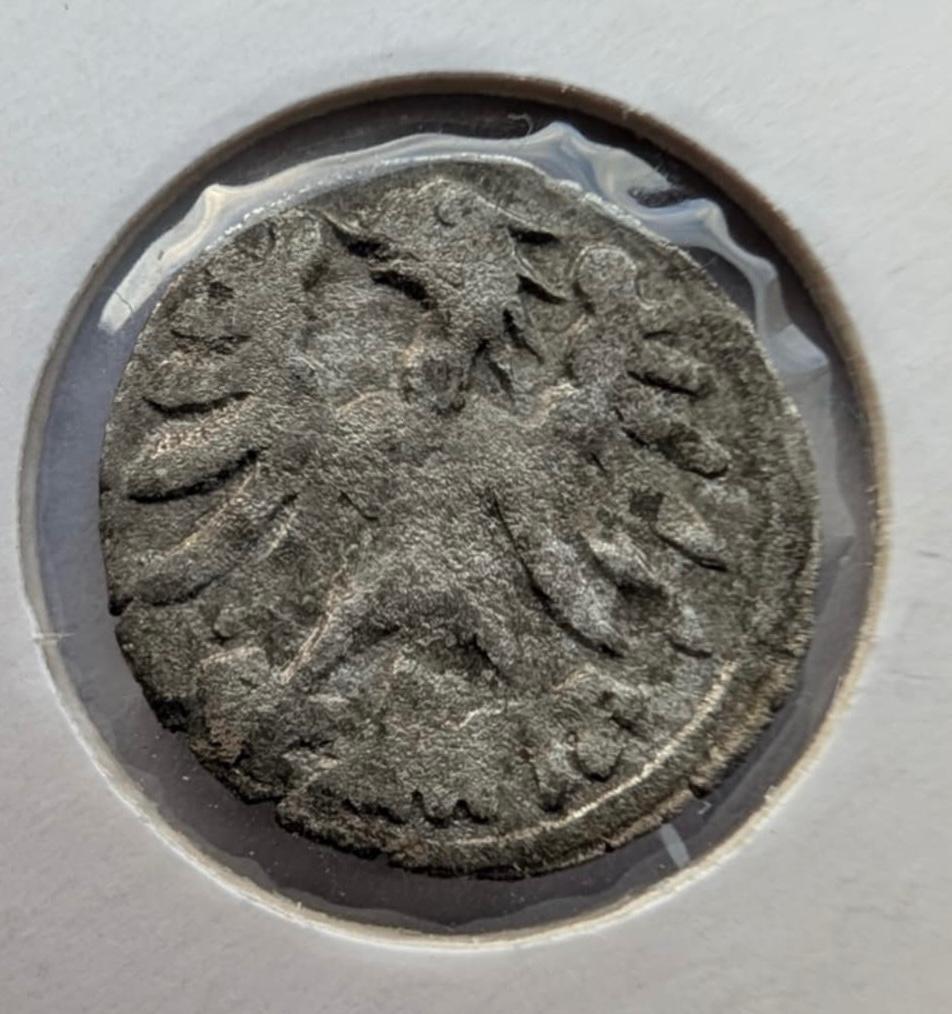 Retas Aleksandro Jogailaičio 1495-1506 denaras