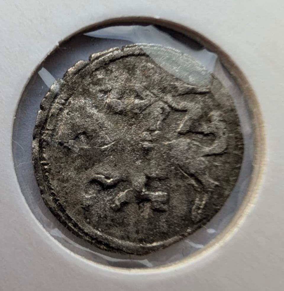 Retas Aleksandro Jogailaičio 1495-1506 denaras