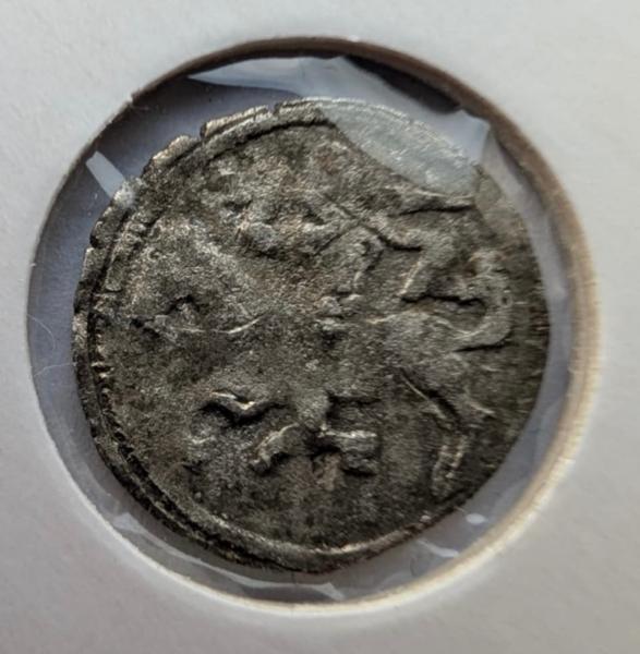 Retas Aleksandro Jogailaičio 1495-1506 denaras