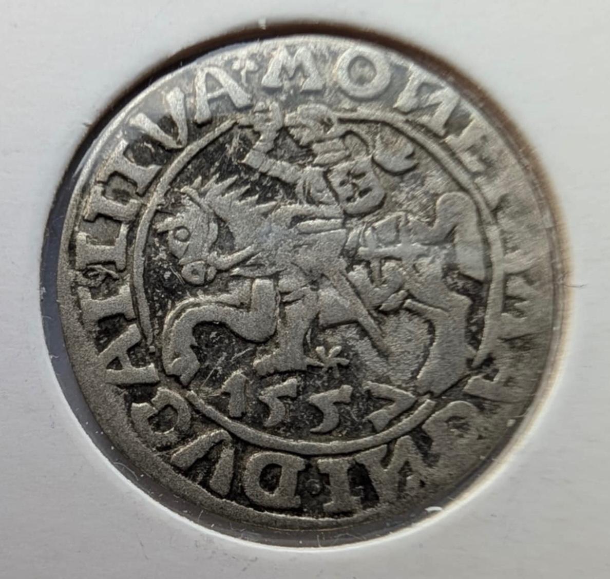 Retas Žygimanto Augusto pusgrašis 1557