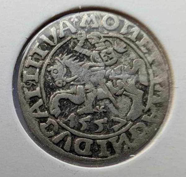 Retas Žygimanto Augusto pusgrašis 1557