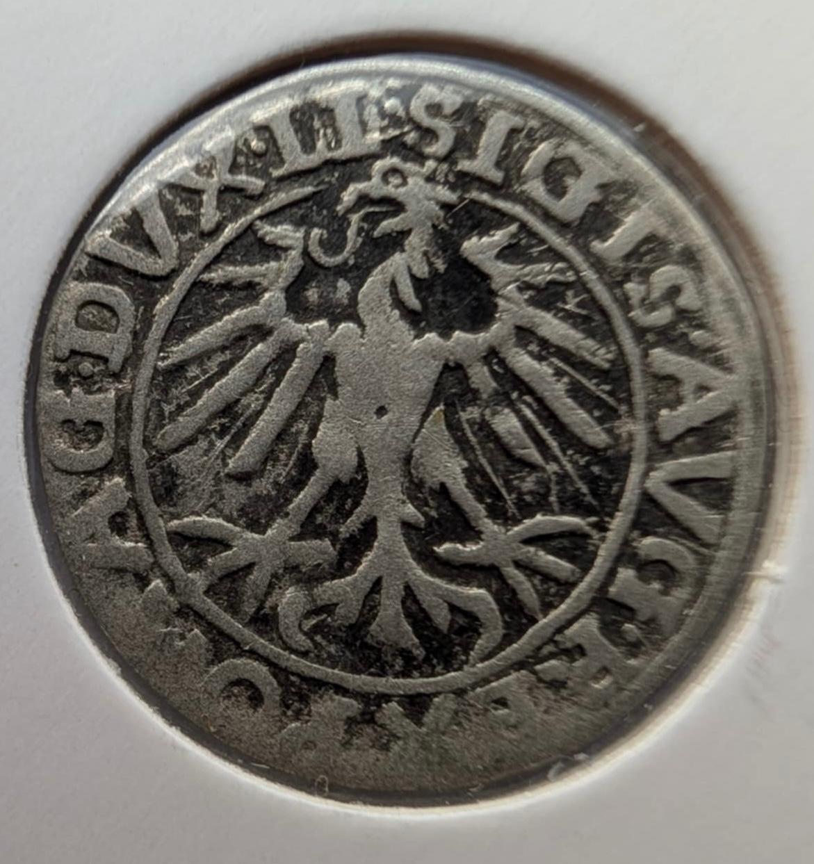 Retas Žygimanto Augusto pusgrašis 1557