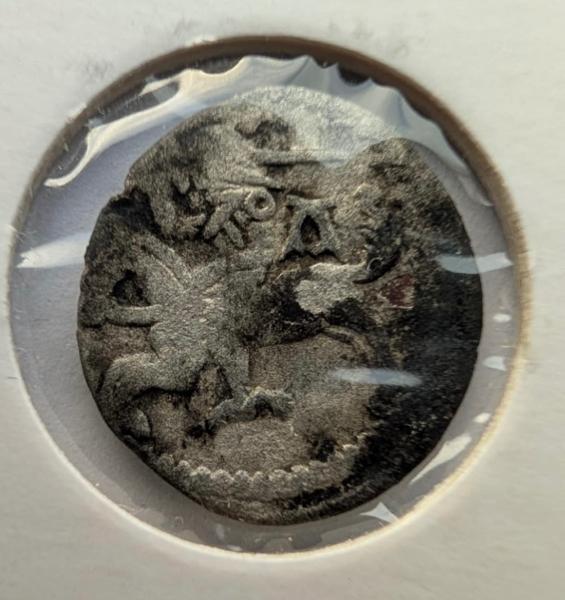 Aleksandro Jogailaičio 1495-1506 denaras