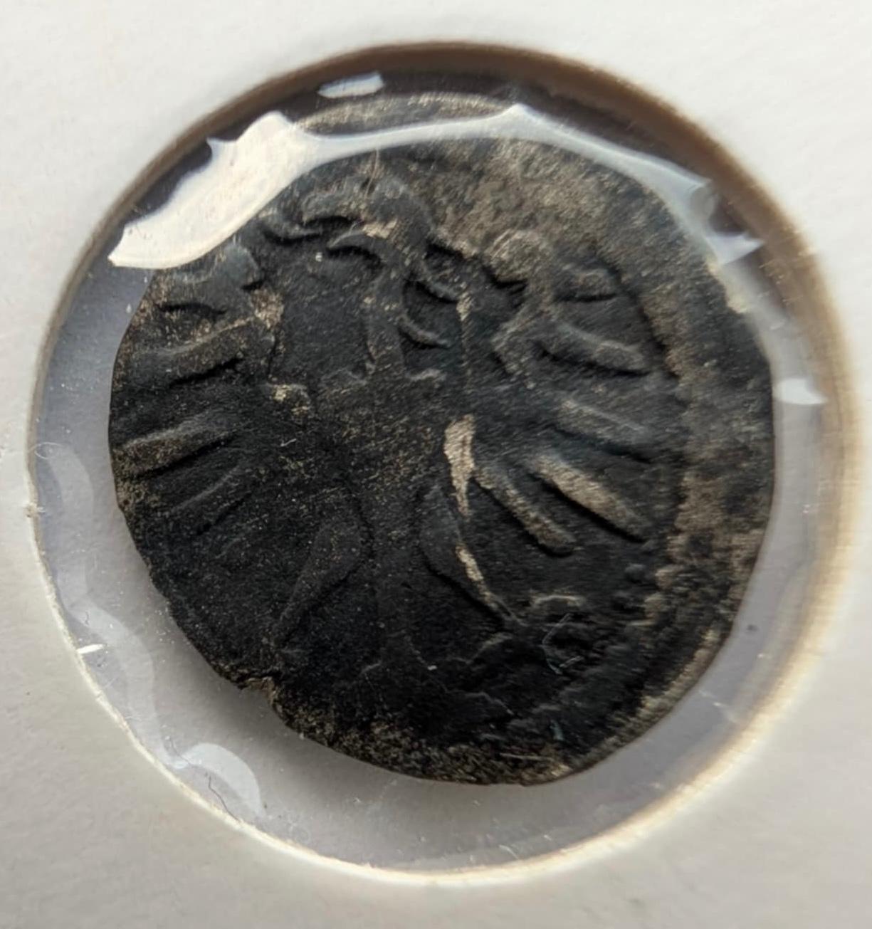 Aleksandro Jogailaičio 1495-1506 denaras