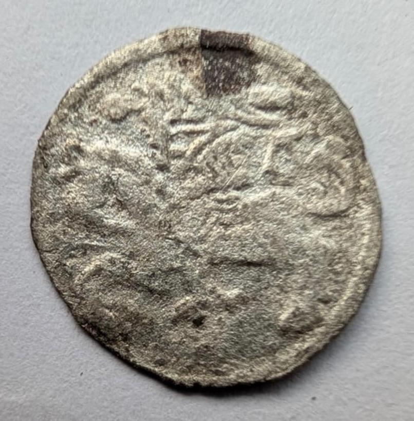 Aleksandro Jogailaičio 1495-1506 denaras