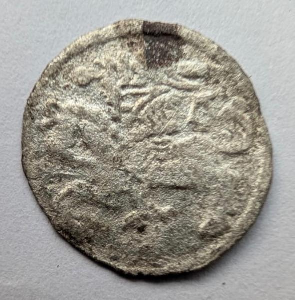 Aleksandro Jogailaičio 1495-1506 denaras