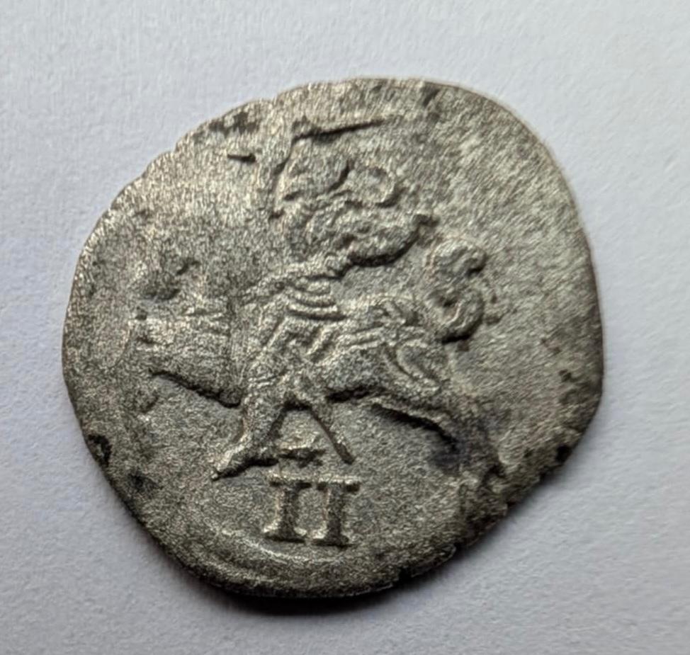 Žygimanto Augusto 1566 dvidenaris