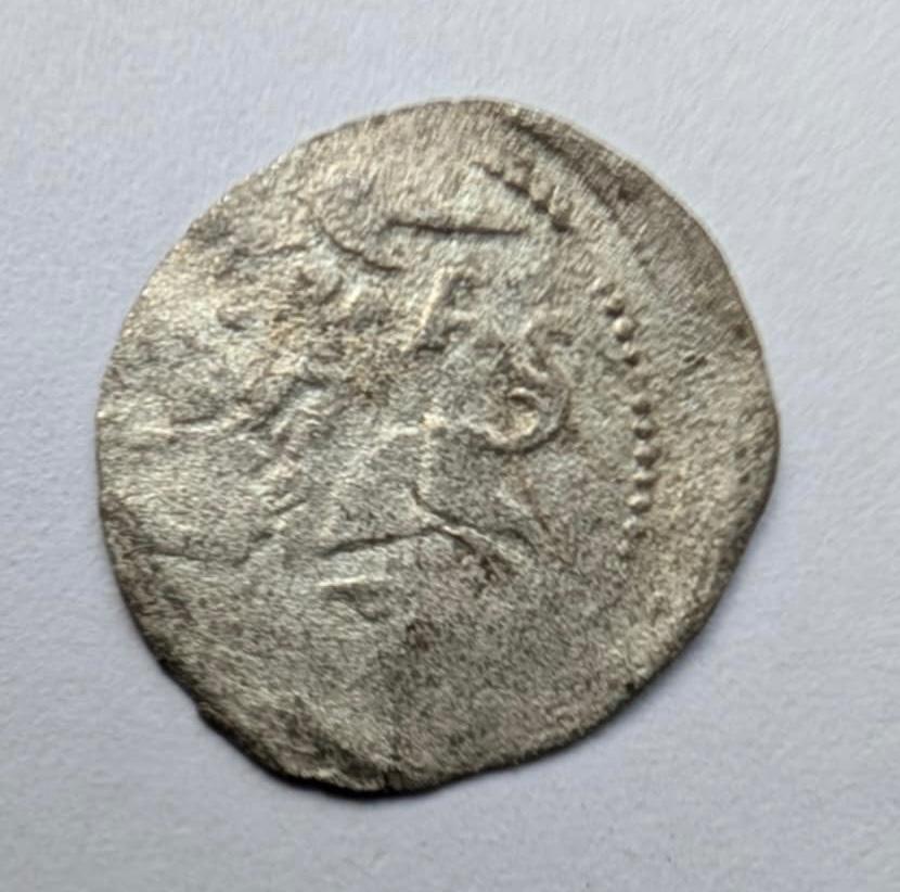 Aleksandro Jogailaičio 1495-1506 denaras