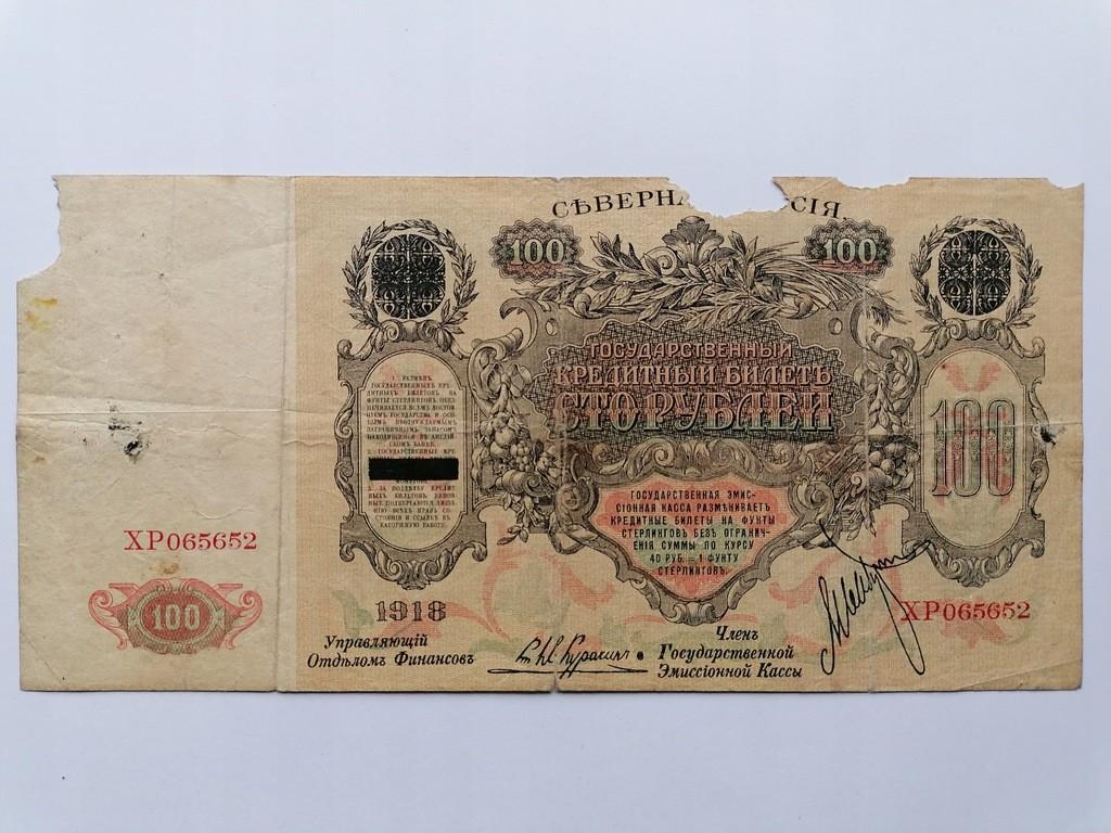 100 rublių 1919 m.