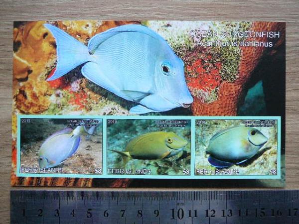 Zuvysi 2010 svarus #ferr11