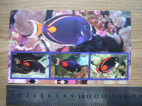 Zuvysi 2010 svarus #ferr12