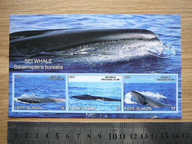 Banginiai 2010 svarus #ferr21