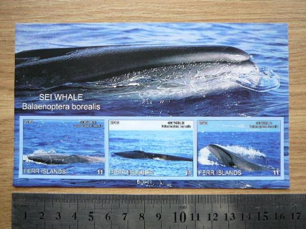 Banginiai 2010 svarus #ferr21