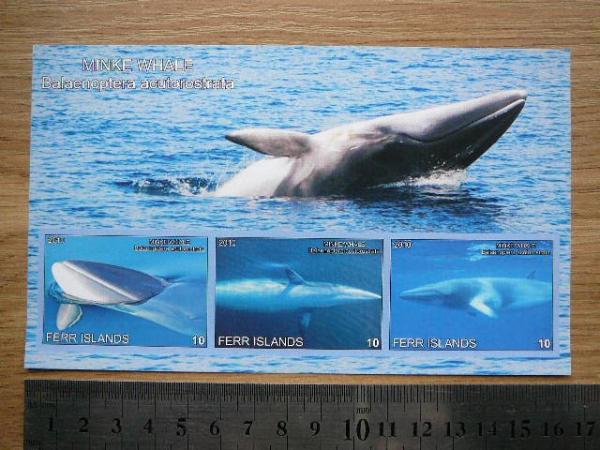 Banginiai 2010 svarus #ferr22