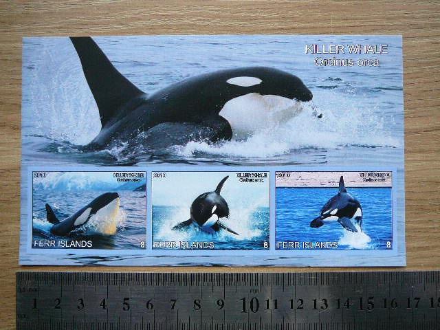 Banginiai 2010 svarus #ferr23