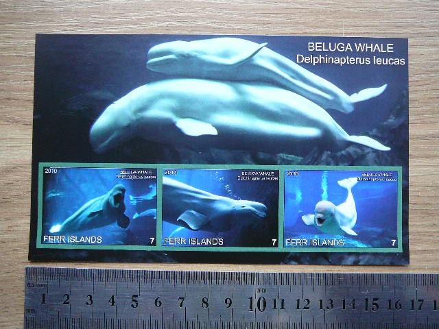 Banginiai 2010 svarus #ferr24