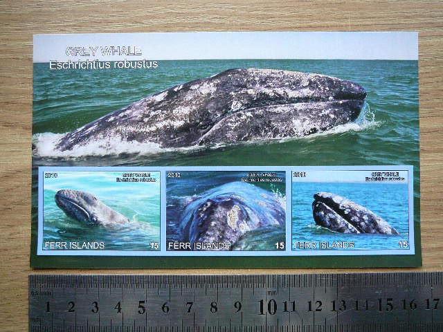 Banginiai 2010 svarus #ferr25