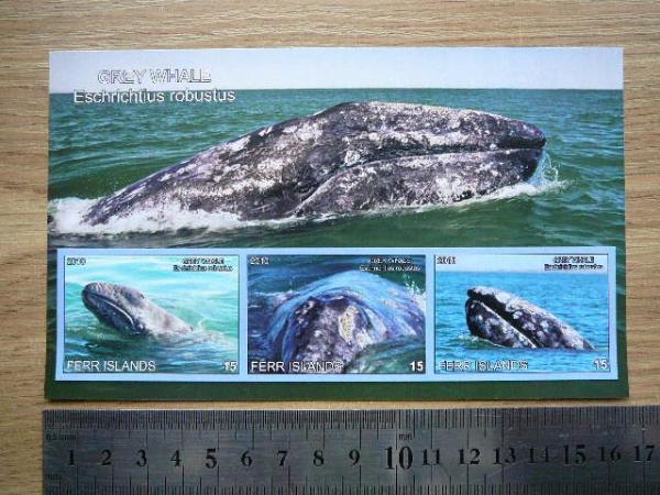 Banginiai 2010 svarus #ferr25