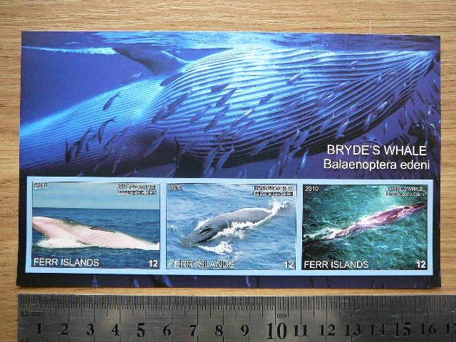 Banginiai 2010 svarus #ferr26