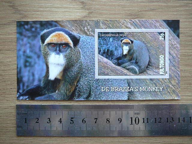 Bezdziones Tonga 2010 svarus #01