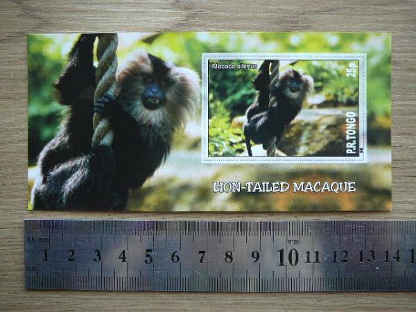 Bezdziones Tonga 2010 svarus #02