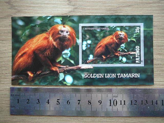 Bezdziones Tonga 2010 svarus #03