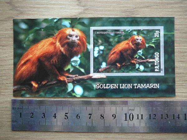 Bezdziones Tonga 2010 svarus #03