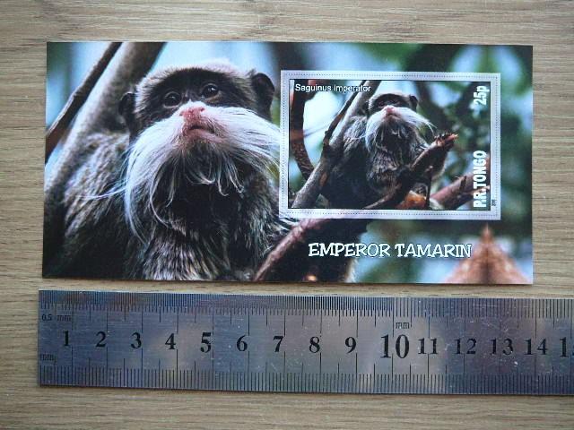 Bezdziones Tonga 2010 svarus #04