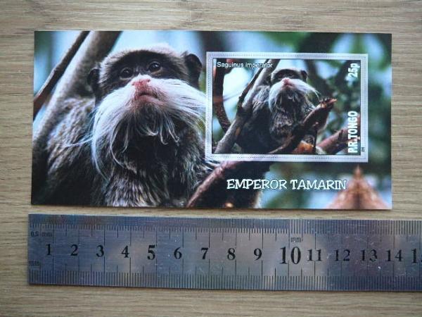 Bezdziones Tonga 2010 svarus #04