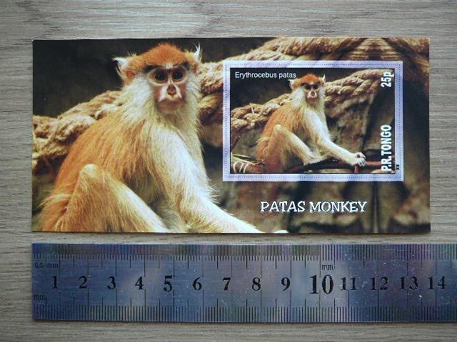 Bezdziones Tonga 2010 svarus #05