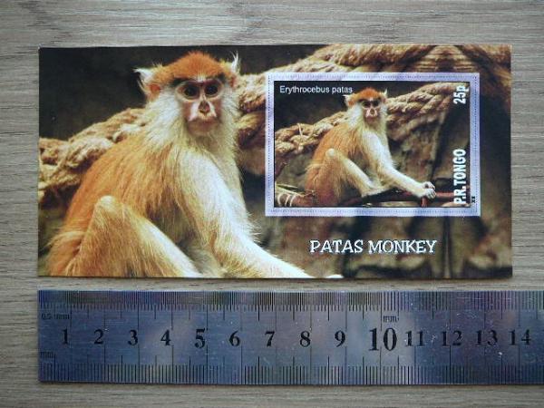 Bezdziones Tonga 2010 svarus #05