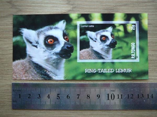 Bezdziones Tonga 2010 svarus #06