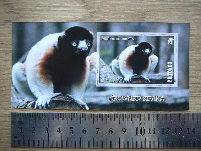 Bezdziones Tonga 2010 svarus #07